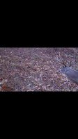 IMG_20211116_193928.jpg