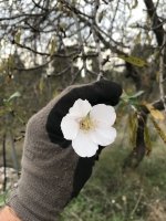 58F675E9-005D-49D3-A62F-6678AADFBD10.jpeg