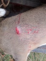 20211103_081835.jpg 20211103_081835.jpg