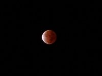 DSC04691.JPG