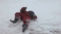 upload_2021-11-19_23-44-9.gif