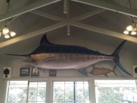 IMG_20211120_181803.jpg