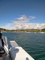 IMG_20211120_174358.jpg