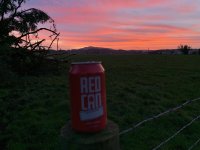 694D7A3B-D68D-48BB-92DF-F4E8912898FF.jpeg