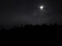 20211121_060526.jpg