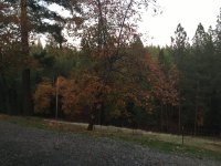 IMG_8822.JPG