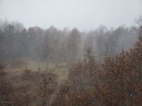20211121_134234.jpg