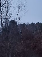 20211121_064056.jpg