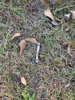 18902684-5153-45BF-A016-C331E68DE935.jpeg