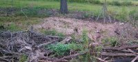 IMG_20190923_082407.jpg