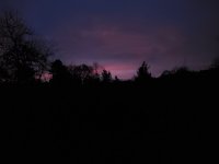 20211124_062039.jpg