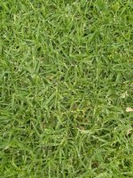 IMG_20211130_124830.jpg