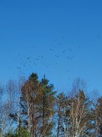 20211128_132845.jpg