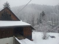 20211202_105919.jpg