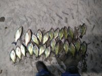 IMG_20211204_181912.jpg