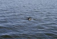 IMG_20211204_100819~2.jpg
