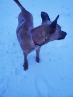 20211205_072054.jpg