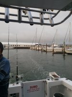 IMG_20211206_062203.jpg
