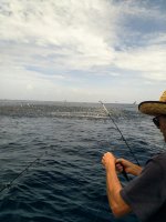 IMG_20211206_145113.jpg