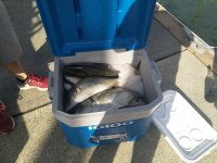 IMG_20211206_173423.jpg