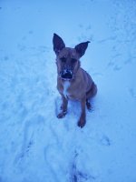 20211205_072116.jpg