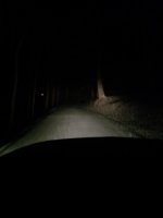 IMG_20211208_054334.jpg