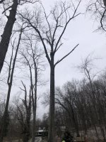 92C0CE8E-52B6-4414-972F-166FDADEECFF.jpeg