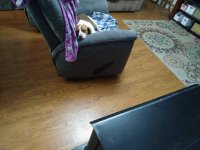 IMG_20211118_055847.jpg