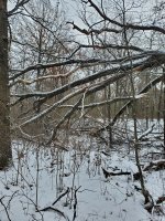 20211218_111116.jpg
