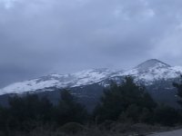 1151562C-90AC-4A65-88F8-718949ABA8B2.jpeg
