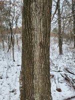 20211218_124028.jpg