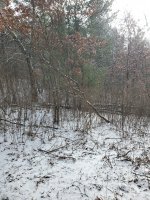 20211218_130603.jpg