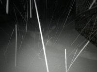 0CCBC335-A76E-47EC-A378-79BD885EF5A0.jpeg