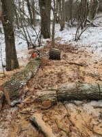 20211219_130958.jpg