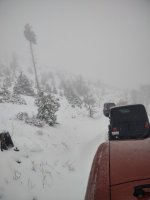 IMG_20211224_100658485.jpg