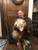 possum2.jpg