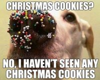Xmas Cookies.jpg