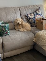 379D71D7-D153-4C9E-A6BB-E1FB54982C66.jpeg