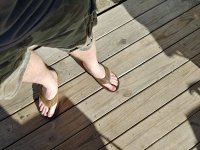 1226211442_HDR.jpg
