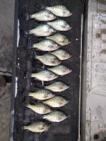 IMG_20211226_185848.jpg