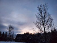 20211229_070708.jpg
