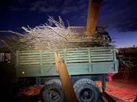 72D63B1B-5ADD-4A6A-84B2-1CBAC2B7A6AA.jpeg 72D63B1B-5ADD-4A6A-84B2-1CBAC2B7A6AA.jpeg