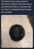 Black Hole Dog.jpg