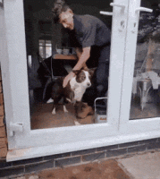 daily_gifdump_3680_12.gif