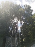 IMG_20220101_112824.jpg