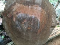 75E6B890-2CE6-4088-9216-4132D4DF0495.jpeg