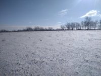 IMG_20220102_110228.jpg