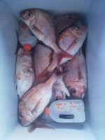 IMG_20220104_102002.jpg