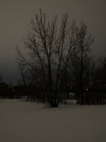 093C61F5-3FEB-4F53-B637-B9943E35ADFE.jpeg