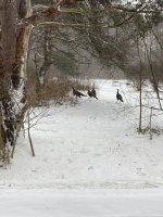 C385B0C0-9948-4602-8BEF-809DB93B417E.jpeg